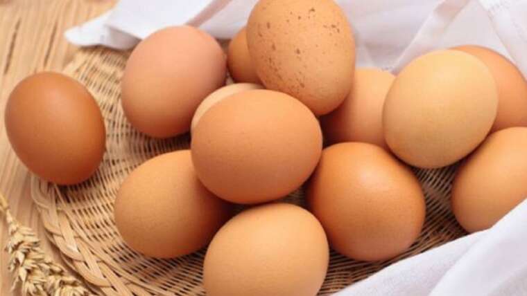 Ovo tem vitamina c? Descubra a quantidade de vitamina C presente no ovo.