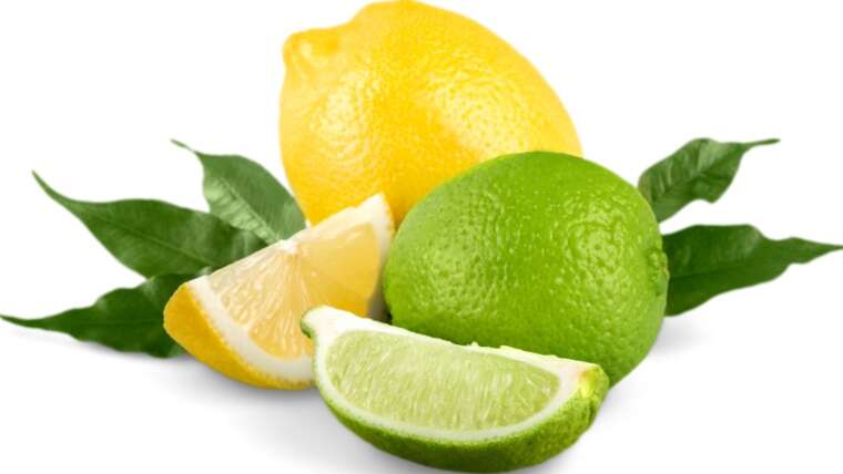 Limão tem vitamina C? Descubra a poderosa fonte de vitamina C nessa fruta