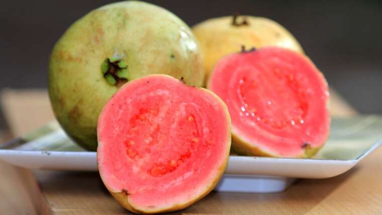 Goiaba tem vitamina C: uma fruta nutritiva e rica em vitamina C